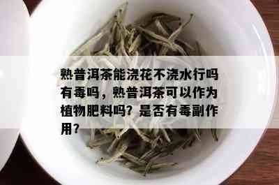 熟普洱茶能浇花不浇水行吗有吗，熟普洱茶可以作为植物肥料吗？是否有副作用？