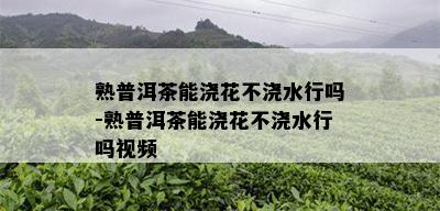 熟普洱茶能浇花不浇水行吗-熟普洱茶能浇花不浇水行吗视频