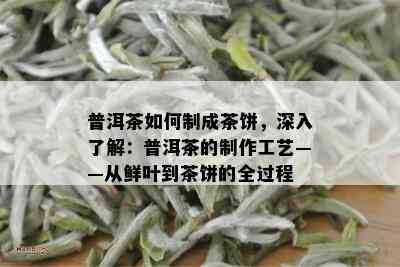 普洱茶如何制成茶饼，深入了解：普洱茶的制作工艺——从鲜叶到茶饼的全过程