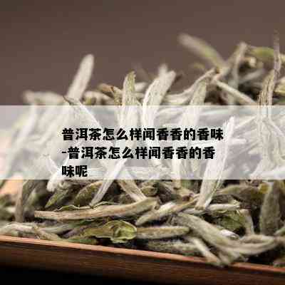 普洱茶怎么样闻香香的香味-普洱茶怎么样闻香香的香味呢