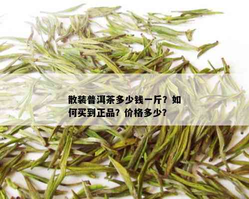 散装普洱茶多少钱一斤？如何买到正品？价格多少？