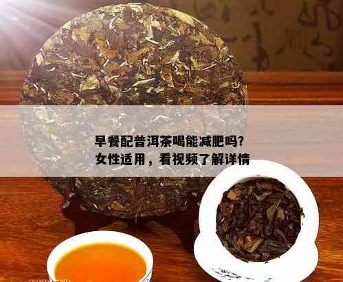 早餐配普洱茶喝能减肥吗？女性适用，看视频了解详情