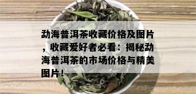 勐海普洱茶收藏价格及图片，收藏爱好者必看：揭秘勐海普洱茶的市场价格与精美图片！