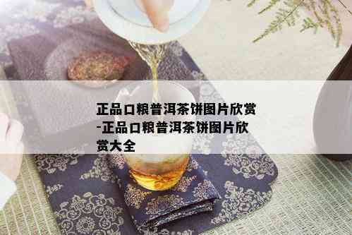 正品口粮普洱茶饼图片欣赏-正品口粮普洱茶饼图片欣赏大全