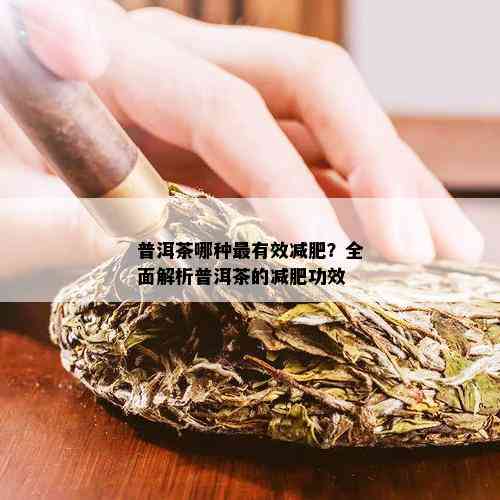 普洱茶哪种最有效减肥？全面解析普洱茶的减肥功效