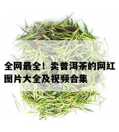 全网最全！卖普洱茶的网红图片大全及视频合集