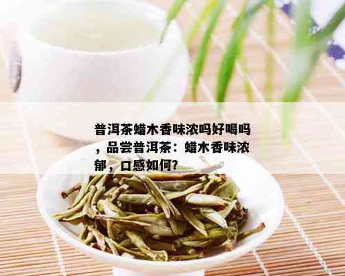 普洱茶蜡木香味浓吗好喝吗，品尝普洱茶：蜡木香味浓郁，口感如何？