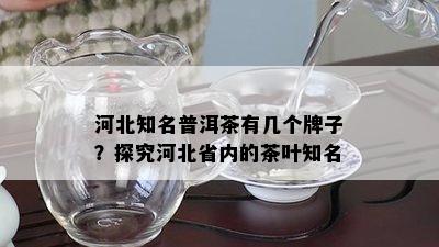 河北知名普洱茶有几个牌子？探究河北省内的茶叶知名