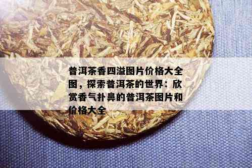 普洱茶香四溢图片价格大全图，探索普洱茶的世界：欣赏香气扑鼻的普洱茶图片和价格大全