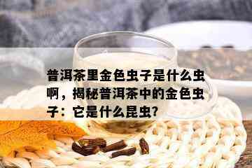 普洱茶里金色虫子是什么虫啊，揭秘普洱茶中的金色虫子：它是什么昆虫？