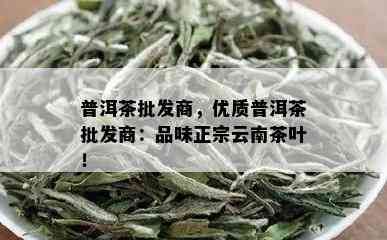 普洱茶批发商，优质普洱茶批发商：品味正宗云南茶叶！