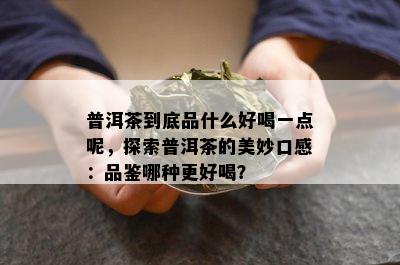 普洱茶到底品什么好喝一点呢，探索普洱茶的美妙口感：品鉴哪种更好喝？