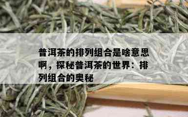 普洱茶的排列组合是啥意思啊，探秘普洱茶的世界：排列组合的奥秘