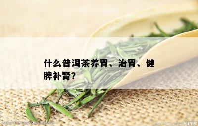 什么普洱茶养胃、治胃、健脾补肾？