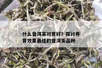 什么普洱茶对胃好？探讨养胃效果更佳的普洱茶品种