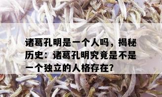 诸葛孔明是一个人吗，揭秘历史：诸葛孔明究竟是不是一个独立的人格存在？