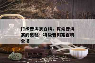 特级普洱茶百科，探索普洱茶的奥秘：特级普洱茶百科全书