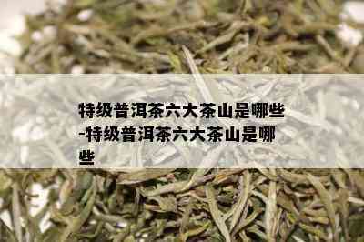 特级普洱茶六大茶山是哪些-特级普洱茶六大茶山是哪些