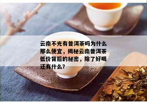 云南不光有普洱茶吗为什么那么便宜，揭秘云南普洱茶低价背后的秘密，除了好喝还有什么？