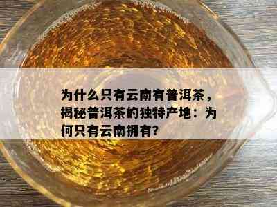 为什么只有云南有普洱茶，揭秘普洱茶的独特产地：为何只有云南拥有？