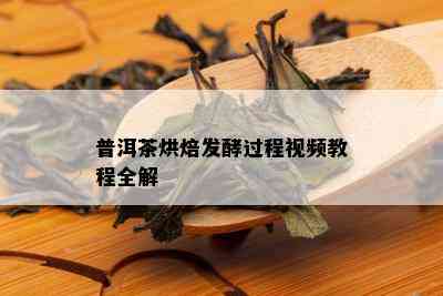 普洱茶烘焙发酵过程视频教程全解