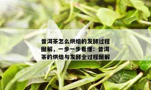 普洱茶怎么烘焙的发酵过程图解，一步一步看懂：普洱茶的烘焙与发酵全过程图解