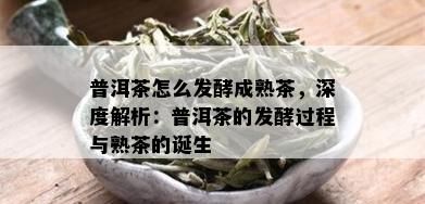 普洱茶怎么发酵成熟茶，深度解析：普洱茶的发酵过程与熟茶的诞生