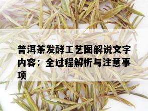 普洱茶发酵工艺图解说文字内容：全过程解析与注意事项