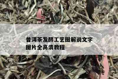 普洱茶发酵工艺图解说文字图片全高清教程