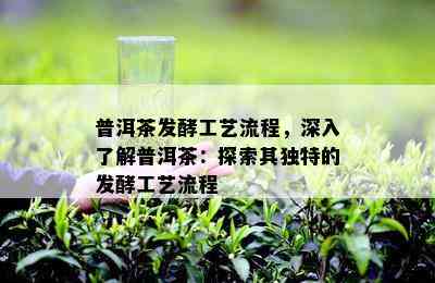 普洱茶发酵工艺流程，深入了解普洱茶：探索其独特的发酵工艺流程