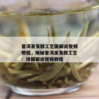 普洱茶发酵工艺图解说视频教程，揭秘普洱茶发酵工艺：详细解说视频教程