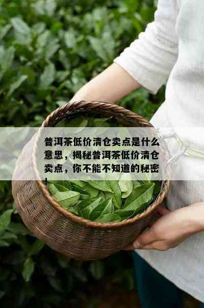 普洱茶低价清仓卖点是什么意思，揭秘普洱茶低价清仓卖点，你不能不知道的秘密！