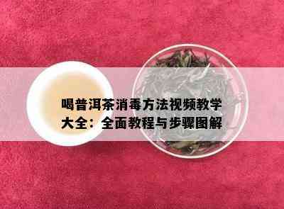 喝普洱茶消方法视频教学大全：全面教程与步骤图解