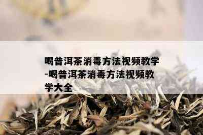 喝普洱茶消方法视频教学-喝普洱茶消方法视频教学大全