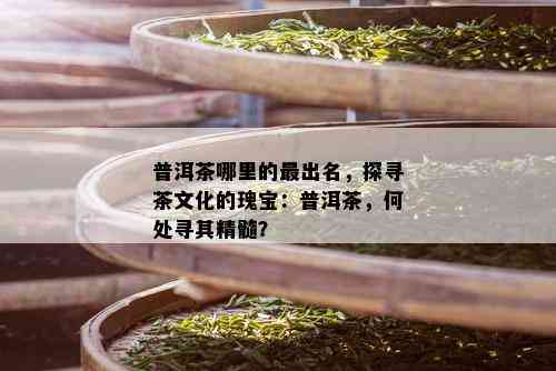 普洱茶哪里的最出名，探寻茶文化的瑰宝：普洱茶，何处寻其精髓？