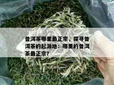 普洱茶哪里最正宗，探寻普洱茶的起源地：哪里的普洱茶最正宗？