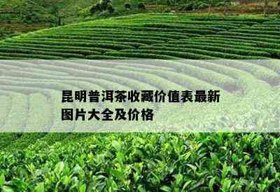 昆明普洱茶收藏价值表最新图片大全及价格