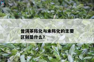 普洱茶陈化与未陈化的主要区别是什么？