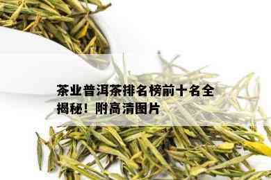 茶业普洱茶排名榜前十名全揭秘！附高清图片