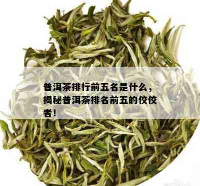 普洱茶排行前五名是什么，揭秘普洱茶排名前五的佼佼者！