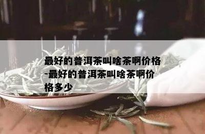 更好的普洱茶叫啥茶啊价格-更好的普洱茶叫啥茶啊价格多少