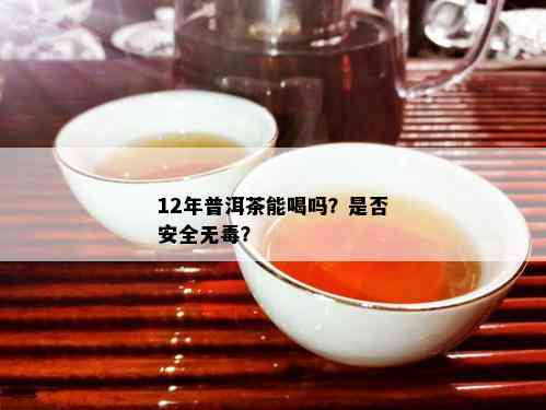 12年普洱茶能喝吗？是否安全无？