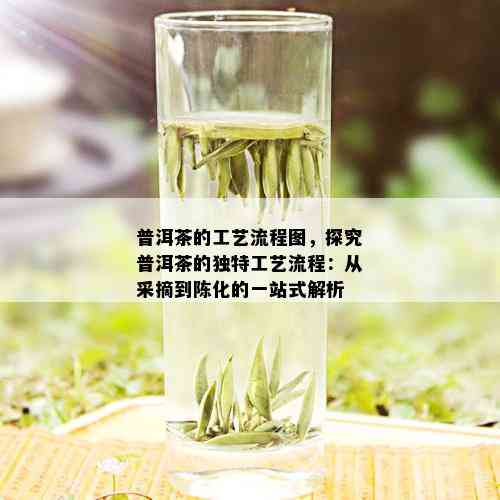 普洱茶的工艺流程图，探究普洱茶的独特工艺流程：从采摘到陈化的一站式解析