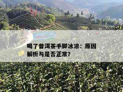 喝了普洱茶手脚冰凉：原因解析与是否正常？