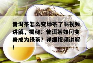 普洱茶怎么变绿茶了呢视频讲解，揭秘：普洱茶如何变身成为绿茶？详细视频讲解！