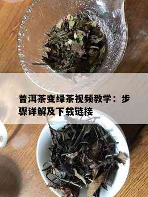 普洱茶变绿茶视频教学：步骤详解及下载链接