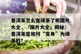 普洱茶怎么变绿茶了呢图片大全，「图片大全」揭秘：普洱茶是如何“变身”为绿茶的？