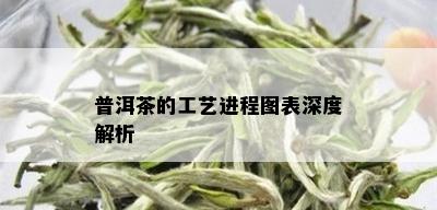 普洱茶的工艺进程图表深度解析