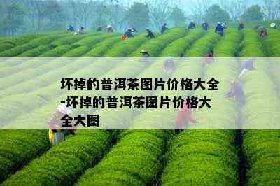 坏掉的普洱茶图片价格大全-坏掉的普洱茶图片价格大全大图