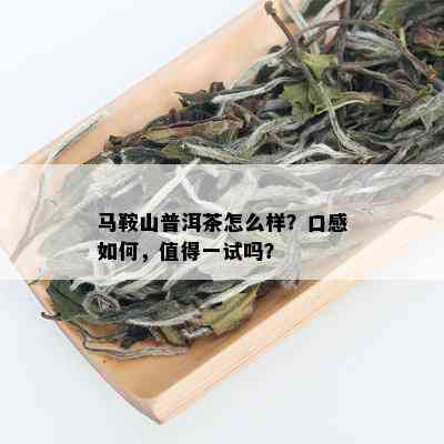 马鞍山普洱茶怎么样？口感如何，值得一试吗？